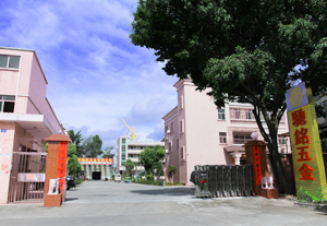 东莞市厂